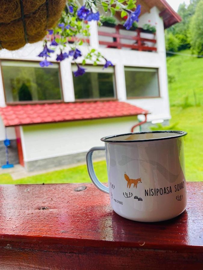 Cabana Nisipoasa Rîu de Mori Exteriör bild