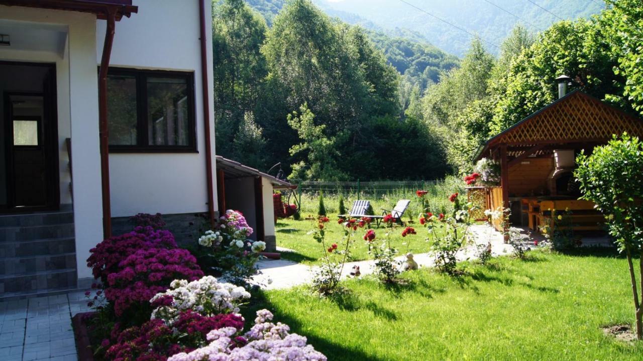 Cabana Nisipoasa Rîu de Mori Exteriör bild